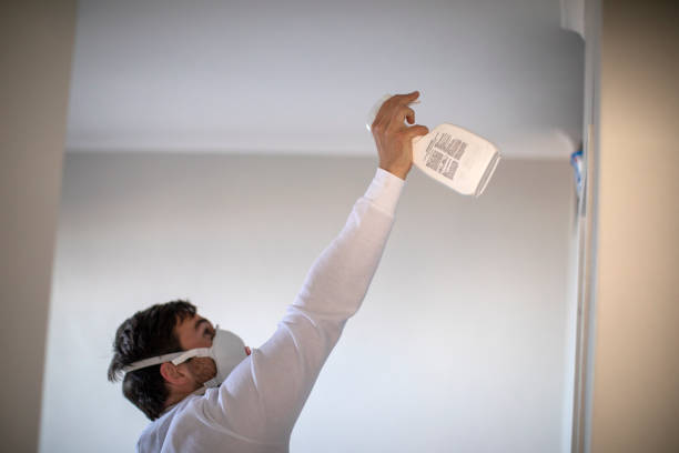Crawl Space Mold Removal in Oakville, MO