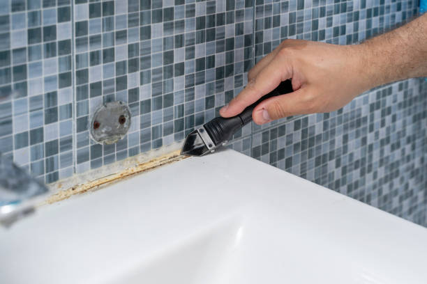 Best Residential Mold Removal  in Oakville, MO